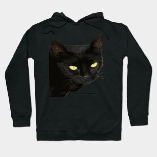 Black Cat With Beautiful Yellow Eyes Vector Art Cut Out Hoodie